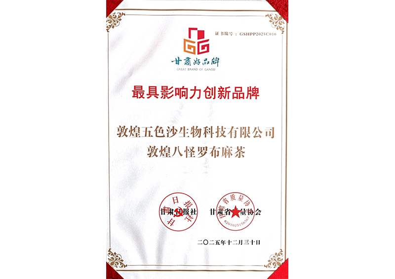 最具影响力创新品牌
